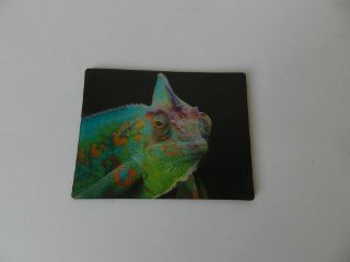 Obrázek z Magnet 3D 7x9cm - chameleon (12) 